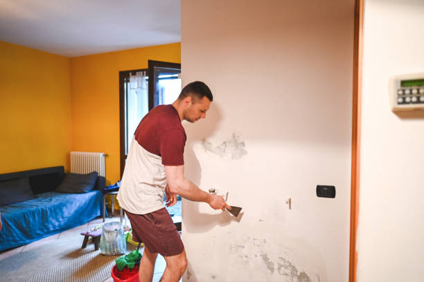 Best Mold Damage Repair  in Port Chester, NY